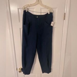 NWT gorgeous navy pants